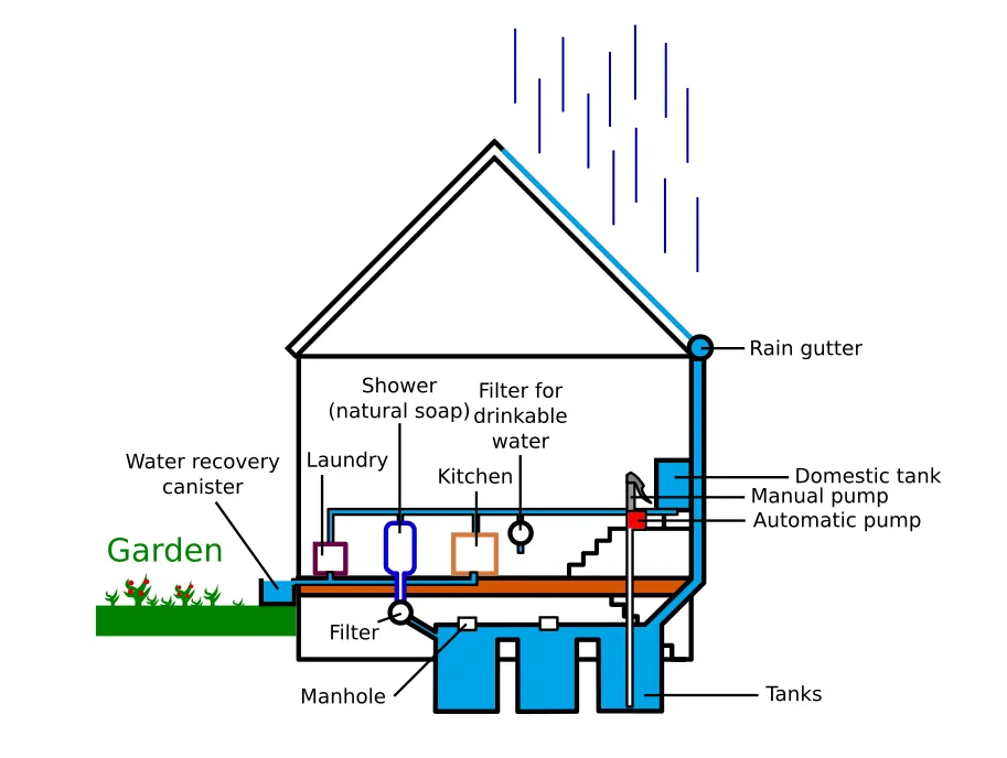 Rain water harvest