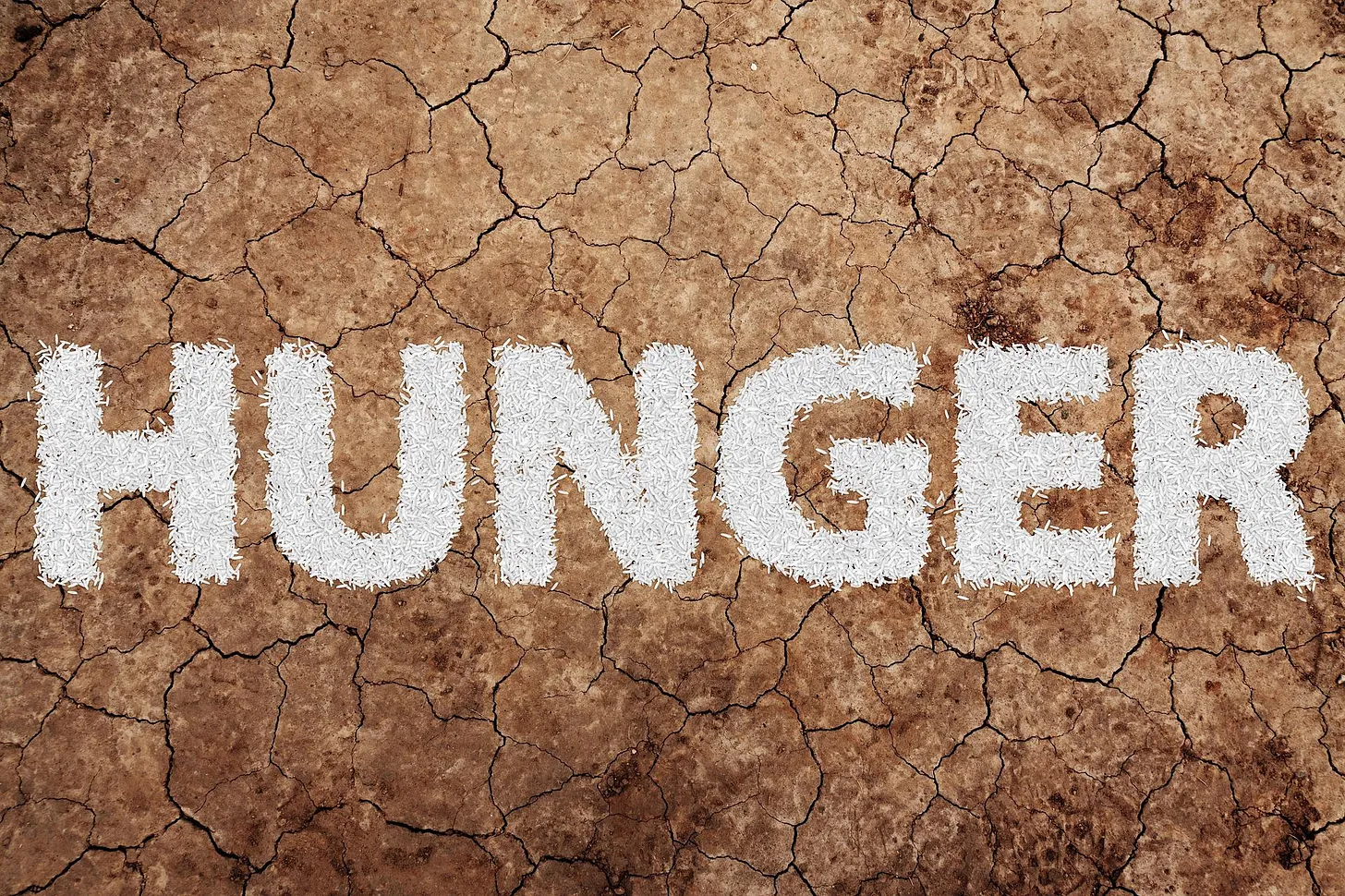 How to deal with the famine to come?